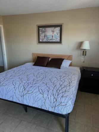 Budget Inn Decatur Priceville Bagian luar foto